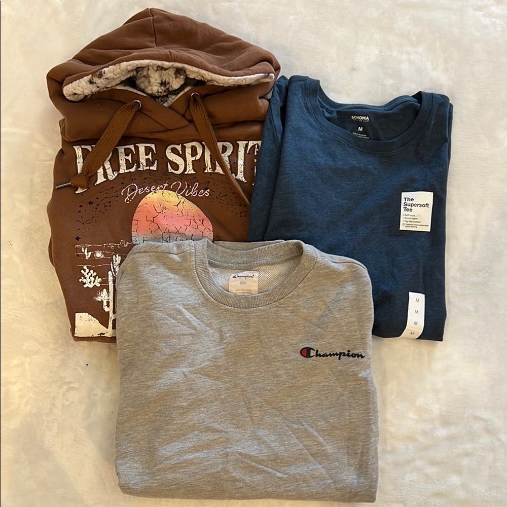 A bundle of 3, Sonoma T shirt, Champion Gray Sweatshirt, Brown Hoodie.